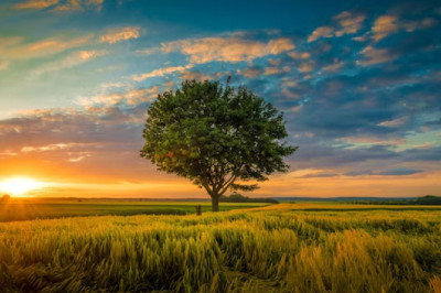 Verse of the Day | July 8, 2023