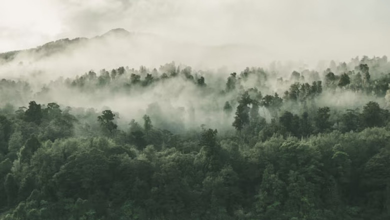 Verse of the Day | July 10, 2023