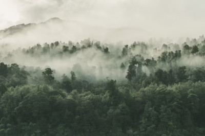 Verse of the Day | July 10, 2023