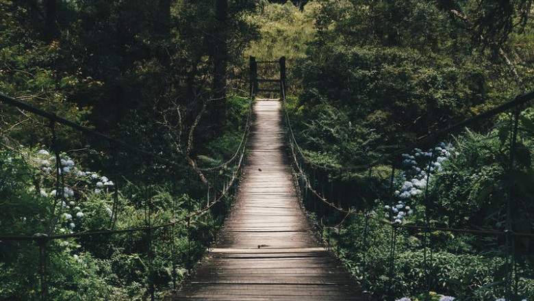 Verse of the Day | August 10, 2023