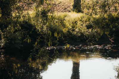Verse of the Day | September 5, 2023