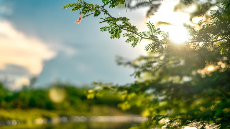 Verse of the Day | September 7, 2023