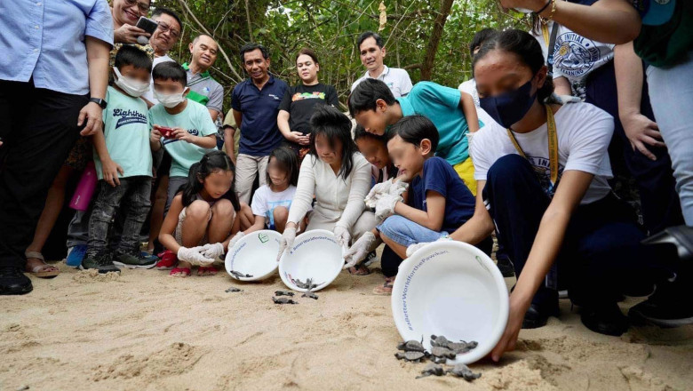 VP Sara leads release of 152 Hawksbill turtle hatchling