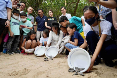 VP Sara leads release of 152 Hawksbill turtle hatchling