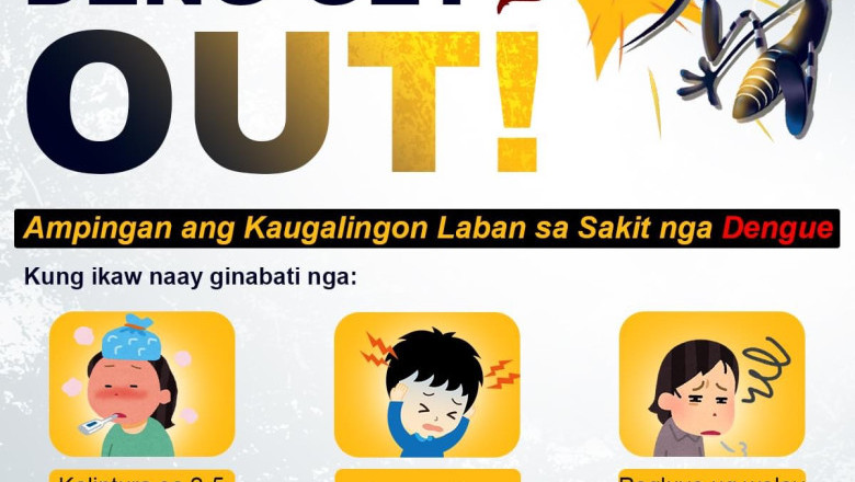 Davao City logs 1,506 dengue cases, 28 deaths Jan-Aug