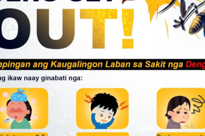 Davao City logs 1,506 dengue cases, 28 deaths Jan-Aug