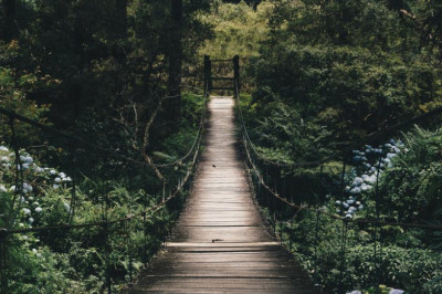 Verse of the Day | October 7, 2023