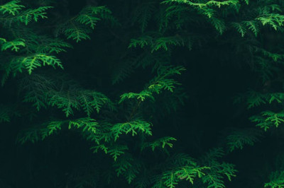 Verse of the Day | Dec. 9, 2023