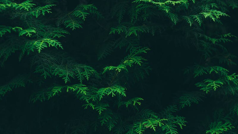 Verse of the Day | Jan. 12, 2024