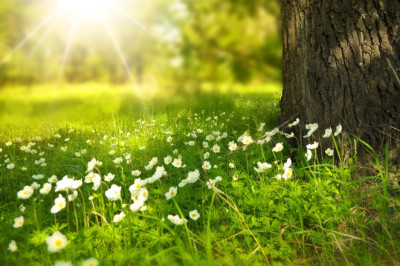 Verse of the Day | April 2, 2024