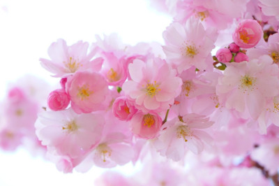 Verse of the Day | April 6, 2024