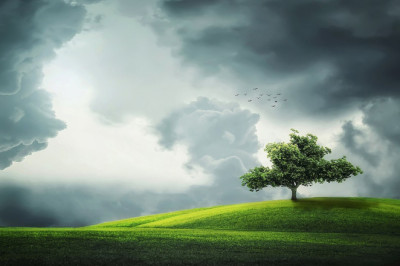 Verse of the Day | April 14, 2024