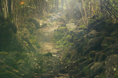 Verse of the Day | April 28, 2024