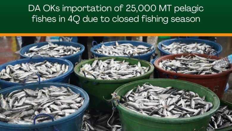 DA OKs importation of 25,000 MT pelagic fishes in 4Q due to closed fishing season