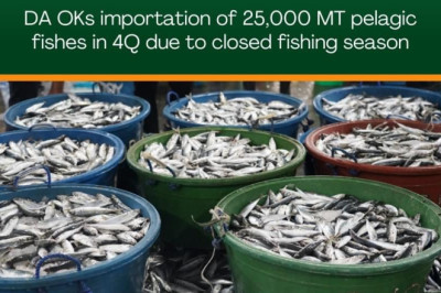 DA OKs importation of 25,000 MT pelagic fishes in 4Q due to closed fishing season
