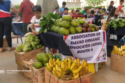 Over 900 beneficiaries get government’s livelihood grants