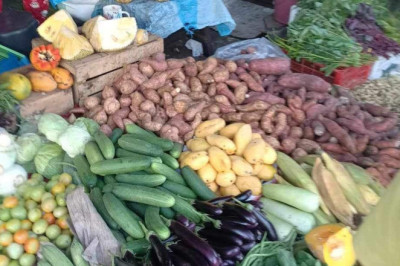 Farmers and Fisherfolk Month celebration filled with activities for Davao farmers, CAgrO says