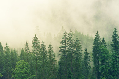 Verse of the Day | May 20, 2024