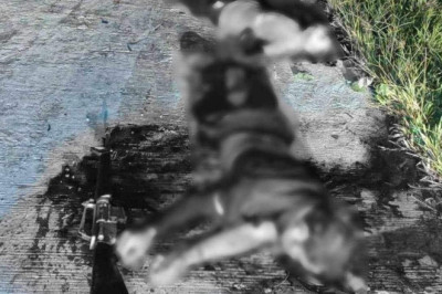 3 ranking NPA leaders die in Agusan Del Norte, Misamis Oriental clash