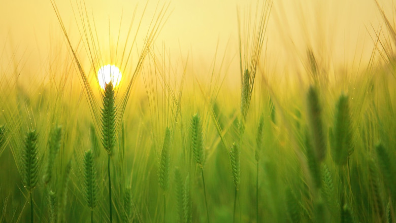 Verse of the Day | June 16, 2024