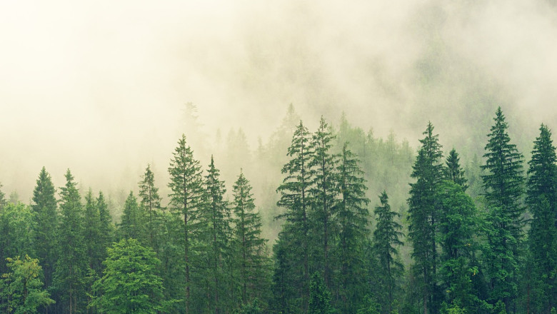 Verse of the Day | June 18, 2024