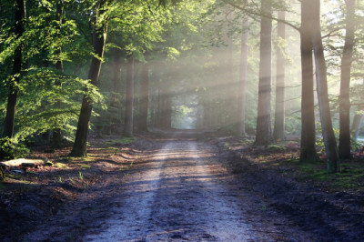 Verse of the Day | June 29, 2024