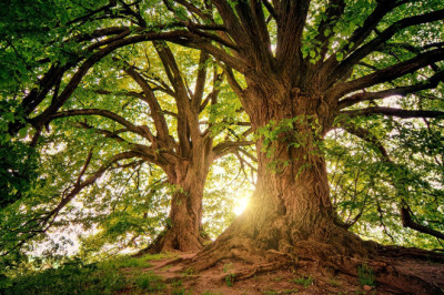 Verse of the Day | July 9, 2024