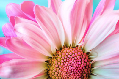 Verse of the Day | July 11, 2024