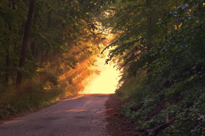 Verse of the Day | July 24, 2024