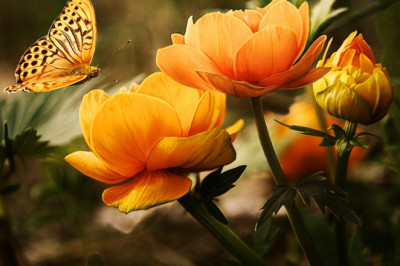 Verse of the Day | August 3, 2024