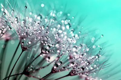 Verse of the Day | August 8, 2024