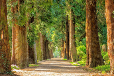 Verse of the Day | August 20, 2024