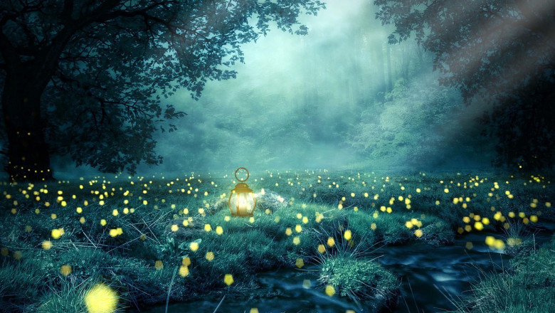 Verse of the Day | Aug.  29, 2024