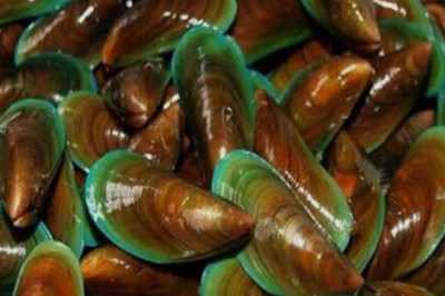 Dabawenyos warned vs tahong