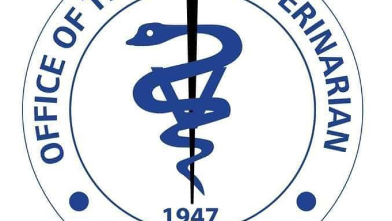 City Vet continues to provide free services to Dabawenyos