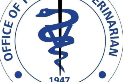 City Vet continues to provide free services to Dabawenyos