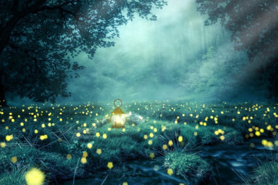 Verse of the Day |  Sept. 23, 2024