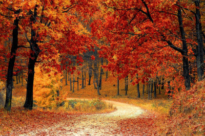 Verse of the Day | Sept. 26, 2024