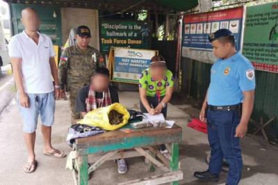 P90K marijuana seized at Lasang checkpoint point