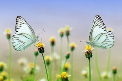 Verse of the Day | Oct. 30, 2024