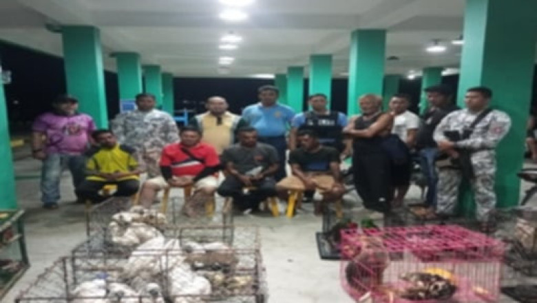 Illegal wildlife shipment  seized in Davao Oriental