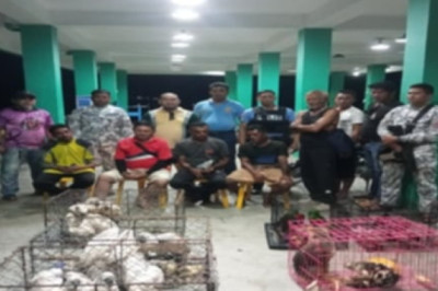 Illegal wildlife shipment  seized in Davao Oriental
