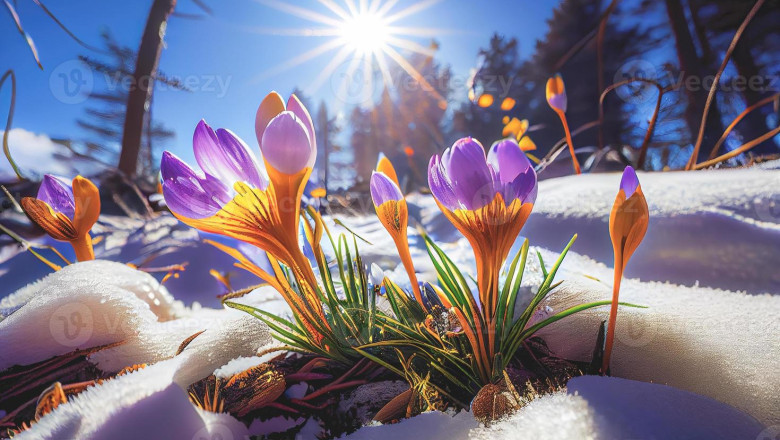 Verse of the Day | Dec. 9, 2024