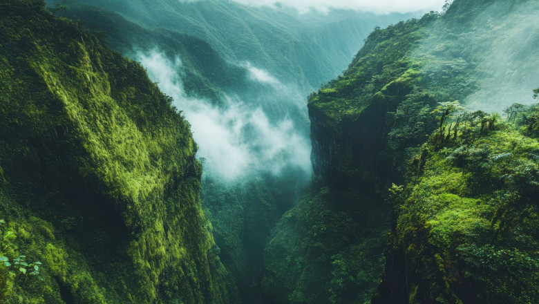 Verse of the Day | December 14, 2024