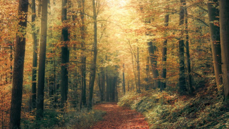 Verse of the Day | December 17, 2024