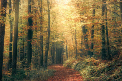 Verse of the Day | December 17, 2024