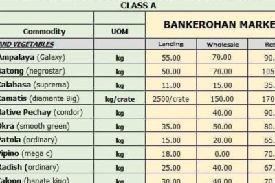 Food Terminal starts full week operation January 8