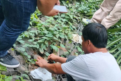 Nag-firework display sa Bangkal, nailhan na; kaso ipasaka