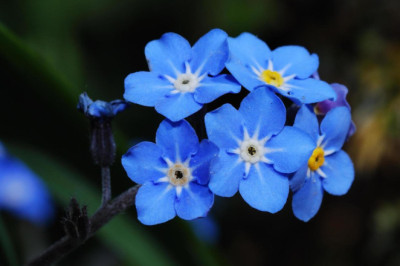 Verse of the Day | Jan. 7, 2025