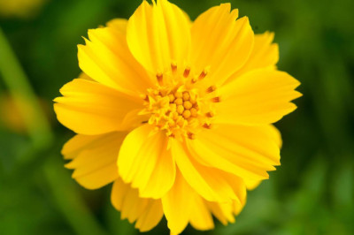 Verse of the Day | Jan. 8, 2025